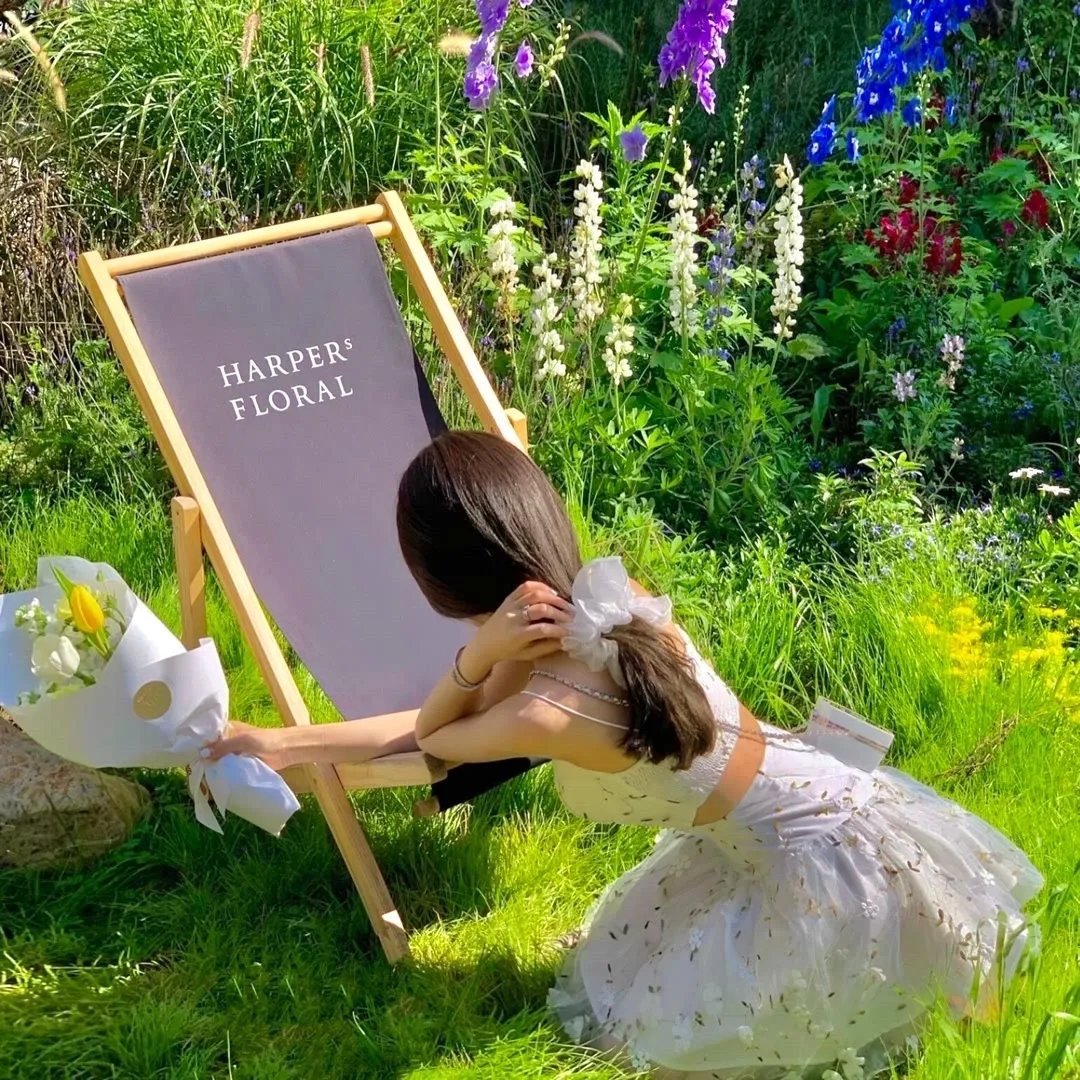 可惜明年花更好