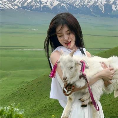 重生 (2006年电影)